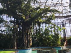 -瑞阁温泉酒店温泉中心