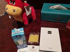 -常州环球恐龙城维景国际大酒店