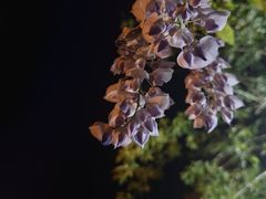 -斯多格书乡(北京大学畅春园店)