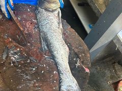 -途中饭店(开化店)