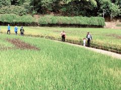 -韶山毛泽东同志故居