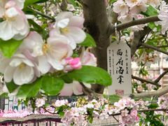 -元大都城垣遗址公园