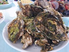 -兴旺渔家