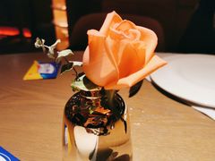 -佐度王子扒房(爱建卓展店)