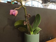 -VESH COFFEE(定西路店)