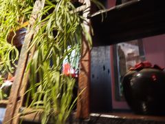 -大匠工房古船木艺术餐厅·猪肚鸡专门店(长白仙岛店)