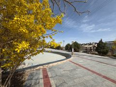 -党河风情线国家水利风景区