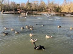 -溱湖国家湿地公园