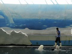 -秦皇岛乐岛海洋王国