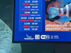 -合肥海洋世界