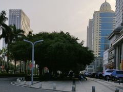 -南珠宫酒店-茶餐厅