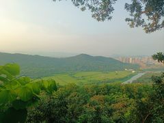 -风云岭森林公园