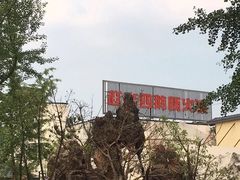 -九尺赵老四鲜鹅肠火锅