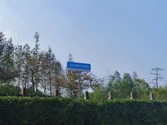 -三水森林公园