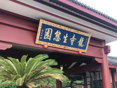 -龙寺生态园
