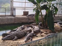 -石家庄市动物园