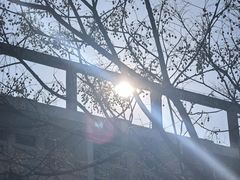 -星隆国际·芜湖小吃街