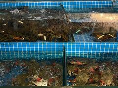 -渔人湾码头海鲜市场负二楼