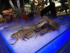 -韩京炭火烤肉自助料理(柯桥万达店)