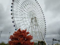 -南昌之星摩天轮