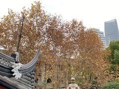 -上海白云观