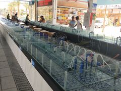 -麗園刀削面(城子河店)