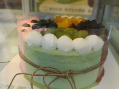 -维尔纳斯·生日蛋糕动物奶油冰淇淋蛋糕(人大店)