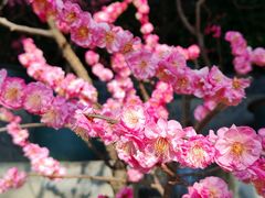 -红螺寺