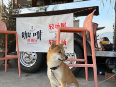 -城墙外BAR