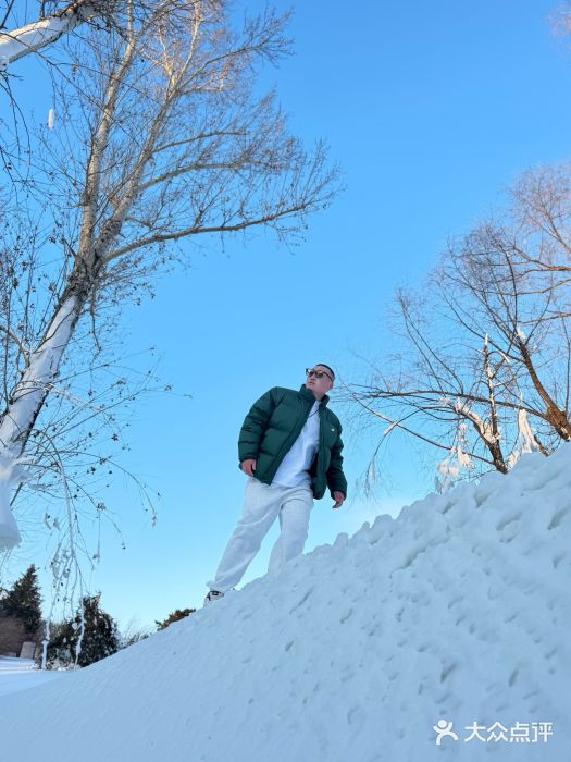 长春世界雕塑园冰雪艺术天地图片