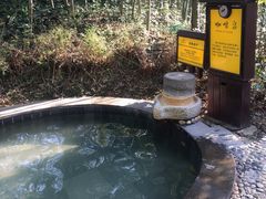 -咸宁太乙国际温泉度假村