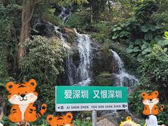 -青青世界