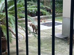 -郑远元专业修脚房(番禺路店)