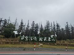 -象山森林公园