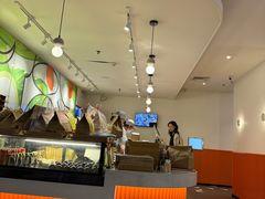 -油梨树 AVOCADO TREE(亮马桥店)