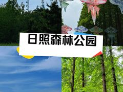 -日照海滨国家森林公园