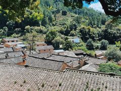 -杨家堂村