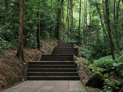 -凤栖山