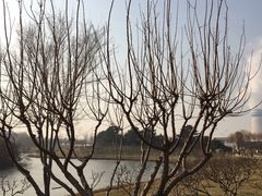 -塘沽森林公园