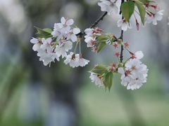 -良渚古城遗址公园