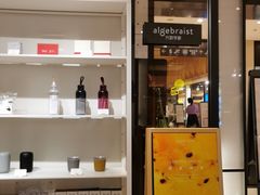-代数学家algebraist(诚品店)