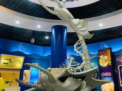 -国家自然博物馆