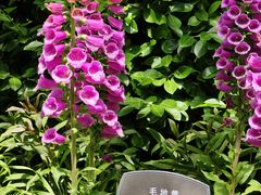 -国家植物园