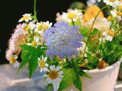 -COTTON CAFE(德信·中外公寓店)