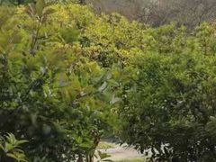 -幕燕滨江·长江观音景区