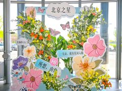 -北京之星奔驰4S店(亦庄店)