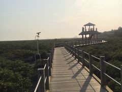 -北海金海湾红树林生态旅游区