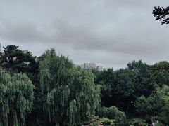 -伪满皇宫博物院