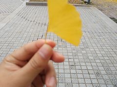 -浙江农林大学(东湖校区)