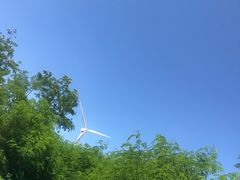 -汕尾风车岛